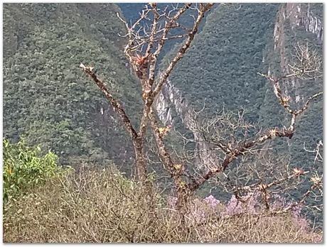 Machu Picchu, Harry Bhadeshia, Patricio Mendez, Alberto Bajarano, Peru