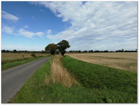 Suffolk bike ride, Apparao Chintha, Gebril El Fallah, Steve Ooi, Harry Bhadeshia, cycling, September 2018