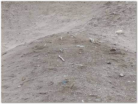 Pachacamac, Inca, Harry Bhadeshia, Lima, Peru, horses, dance