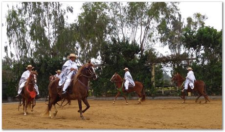 Pachacamac, Inca, Harry Bhadeshia, Lima, Peru, horses, dance