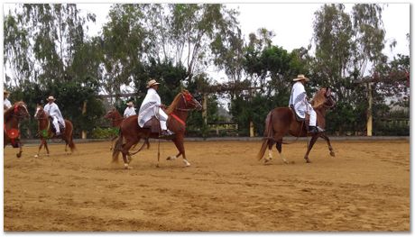 Pachacamac, Inca, Harry Bhadeshia, Lima, Peru, horses, dance