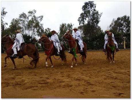 Pachacamac, Inca, Harry Bhadeshia, Lima, Peru, horses, dance