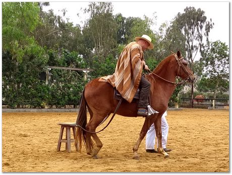 Pachacamac, Inca, Harry Bhadeshia, Lima, Peru, horses, dance