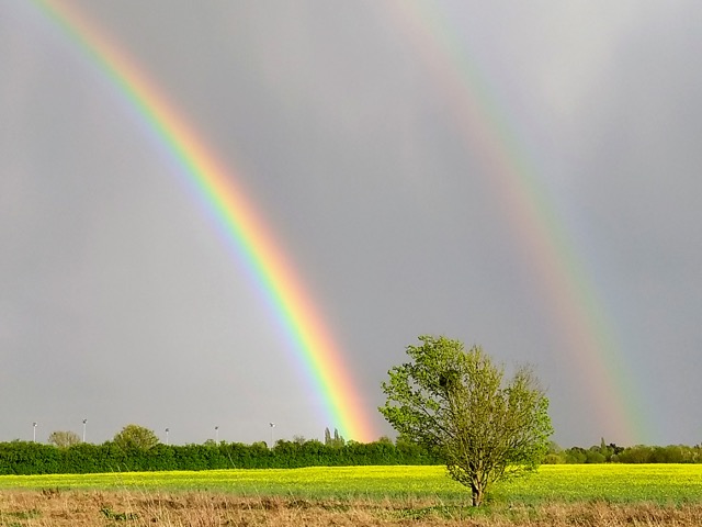 double rainbow, Apparao Chintha, Harry Bhadeshia