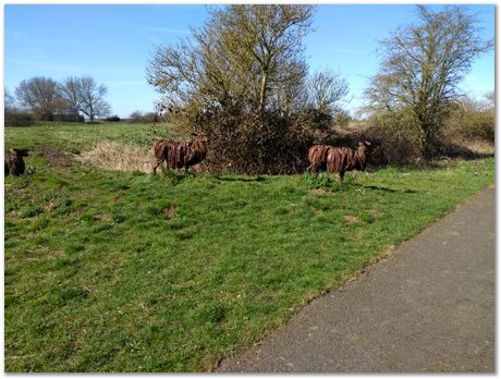 steel, Lincoln, Lincolnshire, Water Rail Way Lincolnshire bicycle ride cycle route, penny farthing bicycle, hobby horse, mustang, Harry Bhadeshia