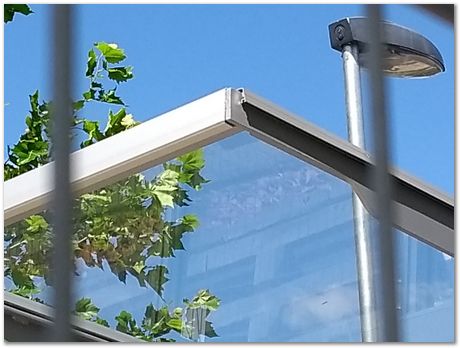 bus stop, steel, metallurgy, lift, flowers, Darwin College, Harry Bhadeshia