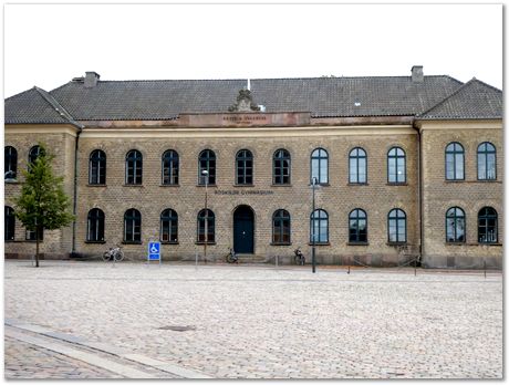 Harry Bhadeshia,Denmark,Riso Conference, Danish Technical University, Roskilde, metallurgy, physical metallurgy