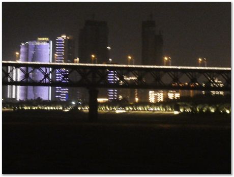 Wuhan, China, Harry Bhadeshia, 2019 Wuhan Forum on Materials Frontiers, Steel, Metallurgy,No. 1 bridge across the Yangtze river