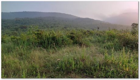 Apparao Chintha, Prasad Kopparthi and Gopi Krishna Chejarla, go cycling in the beautiful areas around Jamshedpur