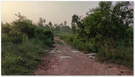 Apparao Chintha, Prasad Kopparthi and Gopi Krishna Chejarla, go cycling in the beautiful areas around Jamshedpur