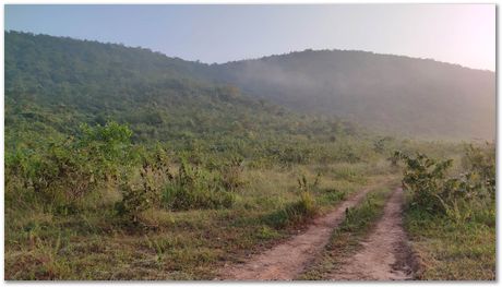 Apparao Chintha, Prasad Kopparthi and Gopi Krishna Chejarla, go cycling in the beautiful areas around Jamshedpur