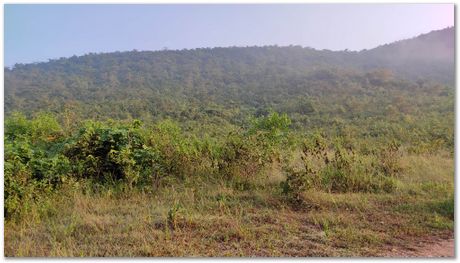 Apparao Chintha, Prasad Kopparthi and Gopi Krishna Chejarla, go cycling in the beautiful areas around Jamshedpur