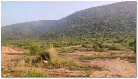 Apparao Chintha, Prasad Kopparthi and Gopi Krishna Chejarla, go cycling in the beautiful areas around Jamshedpur