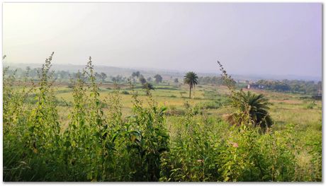 Apparao Chintha, Prasad Kopparthi and Gopi Krishna Chejarla, go cycling in the beautiful areas around Jamshedpur