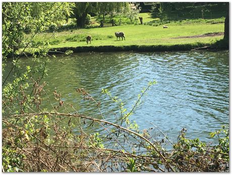 May 2020, Cambridge, UK, Harry Bhadeshia