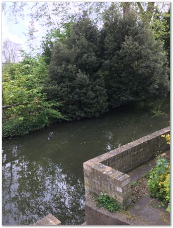 May 2020, Cambridge, UK, Harry Bhadeshia