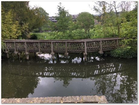 May 2020, Cambridge, UK, Harry Bhadeshia