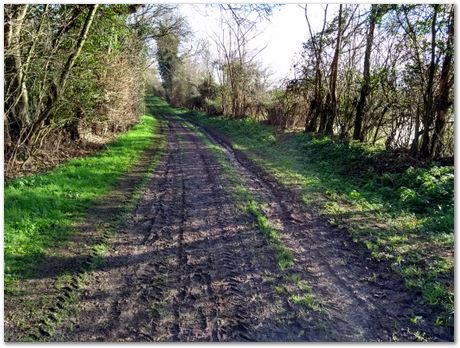 walk between Comberton and Toft during Lockdown, Harry Bhadeshia