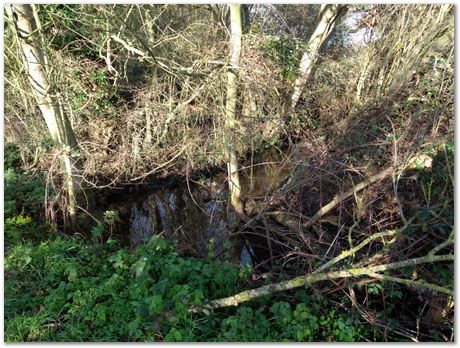 walk between Comberton and Toft during Lockdown, Harry Bhadeshia