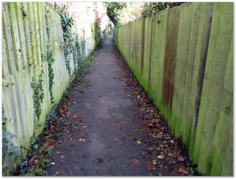 walk between Comberton and Toft during Lockdown, Harry Bhadeshia