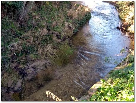 walk between Comberton and Toft during Lockdown, Harry Bhadeshia