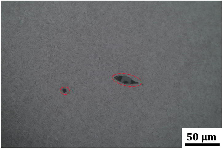 Bearing failure, white matter, white-etching matter, steel, physical metallurgy, inclusions, Parvez Mannan, Nobel Engineering Services, Queen Mary University of London, University of Cambridge