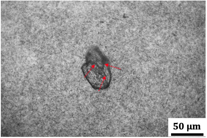 Bearing failure, white matter, white-etching matter, steel, physical metallurgy, inclusions, Parvez Mannan, Nobel Engineering Services, Queen Mary University of London, University of Cambridge