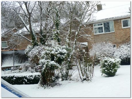 Snow , Saurabh, Sophie, Daniel and Harry