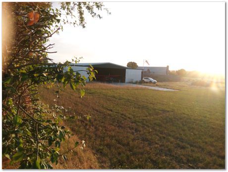 Mosque in Cambridge, airfield in Toft, comberton, Harry Bhadeshia