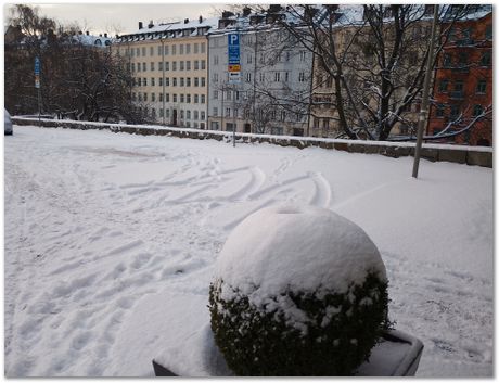 Sweden, Stockholm, KTH, Royal Institute of Technology,TANIA LOAIZA URIBE, Harry Bhadeshia, Peter Hedström, H K D H Bhadeshia, Steve Ooi, bearings, bearing steels, February 2024 