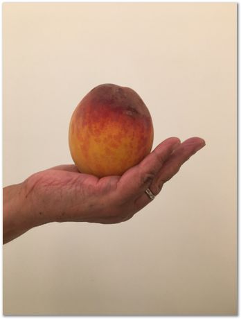 Burmet Sultangazieva