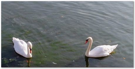 Burmet Sultangazieva