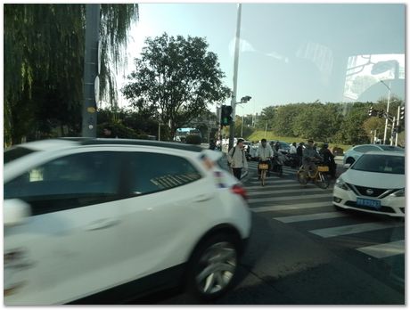 img_20251105_084458.jpg Nanjing, China, HSLA2025, high-strength low-alloy steels, Harry Bhadeshia, Ting Ping Hou, Kaiming Wu, Carlos Capdevila, Carlos Mateo