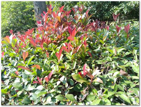 img_20251105_094956.jpg Nanjing, China, HSLA2025, high-strength low-alloy steels, Harry Bhadeshia, Ting Ping Hou, Kaiming Wu, Carlos Capdevila, Carlos Mateo