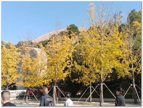 img_20251105_095148.jpg Nanjing, China, HSLA2025, high-strength low-alloy steels, Harry Bhadeshia, Ting Ping Hou, Kaiming Wu, Carlos Capdevila, Carlos Mateo