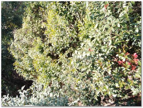 img_20251105_095647.jpg Nanjing, China, HSLA2025, high-strength low-alloy steels, Harry Bhadeshia, Ting Ping Hou, Kaiming Wu, Carlos Capdevila, Carlos Mateo