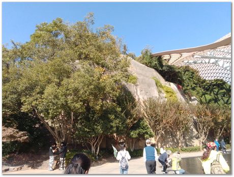 img_20251105_100208.jpg Nanjing, China, HSLA2025, high-strength low-alloy steels, Harry Bhadeshia, Ting Ping Hou, Kaiming Wu, Carlos Capdevila, Carlos Mateo