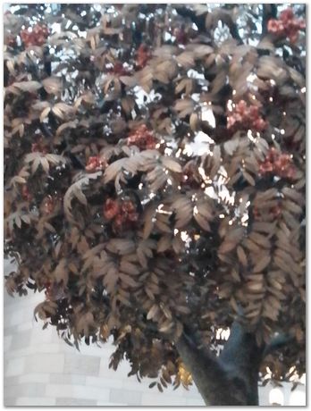 img_20251105_101329.jpg Nanjing, China, HSLA2025, high-strength low-alloy steels, Harry Bhadeshia, Ting Ping Hou, Kaiming Wu, Carlos Capdevila, Carlos Mateo