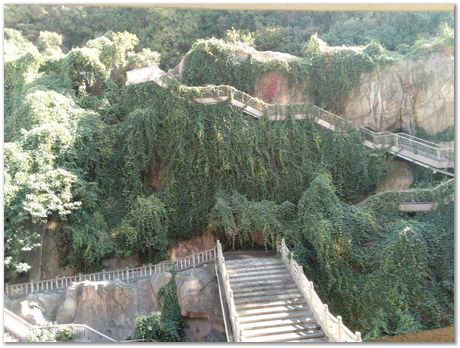 img_20251105_105354.jpg Nanjing, China, HSLA2025, high-strength low-alloy steels, Harry Bhadeshia, Ting Ping Hou, Kaiming Wu, Carlos Capdevila, Carlos Mateo