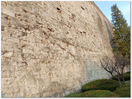 img_20251105_163413.jpg Nanjing, China, HSLA2025, high-strength low-alloy steels, Harry Bhadeshia, Ting Ping Hou, Kaiming Wu, Carlos Capdevila, Carlos Mateo