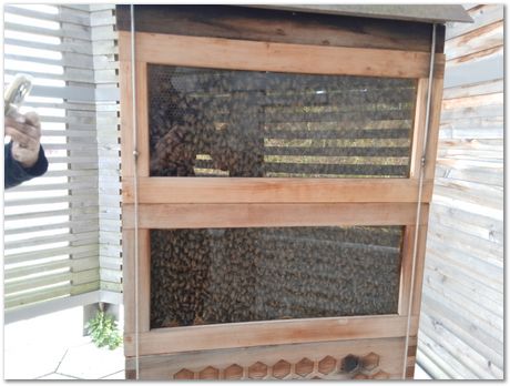 img_20250927_105658.jpg Taylor Lecture, Pennsylvania State University, Harry Bhadeshia