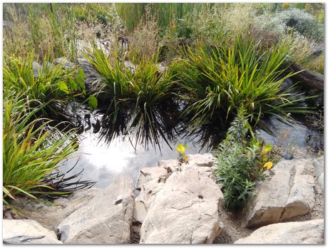 img_20250927_110327.jpg Taylor Lecture, Pennsylvania State University, Harry Bhadeshia