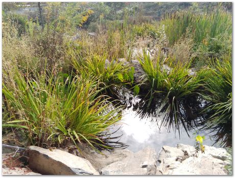 img_20250927_110331.jpg Taylor Lecture, Pennsylvania State University, Harry Bhadeshia