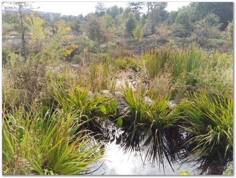 img_20250927_110335.jpg Taylor Lecture, Pennsylvania State University, Harry Bhadeshia