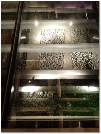 img_20251109_093643.jpg Wuhan University of Science and Technology, Harry Bhadeshia, Kaiming Wu, Ting Ping Hou, 2025