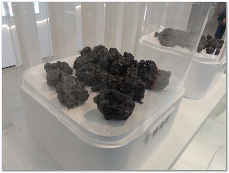 img_20251109_151842.jpg Wuhan University of Science and Technology, Harry Bhadeshia, Kaiming Wu, Ting Ping Hou, 2025