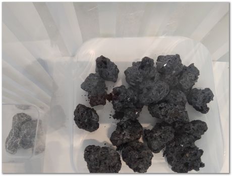 img_20251109_151902.jpg Wuhan University of Science and Technology, Harry Bhadeshia, Kaiming Wu, Ting Ping Hou, 2025