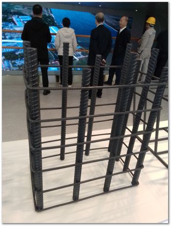 img_20251109_152353.jpg Wuhan University of Science and Technology, Harry Bhadeshia, Kaiming Wu, Ting Ping Hou, 2025