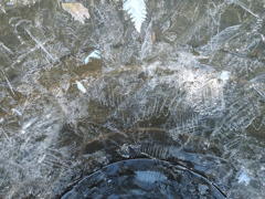 Ice dendrites, Andy Howe