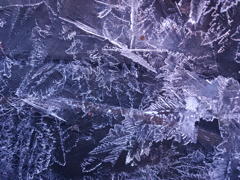 Ice dendrites, by Andy Howe